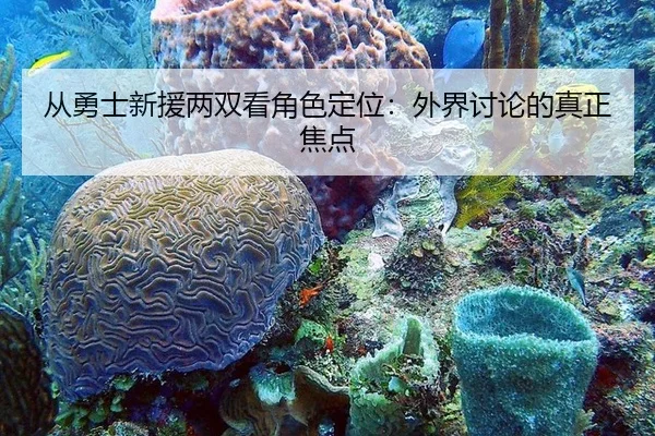 从勇士新援两双看角色定位：外界讨论的真正焦点
